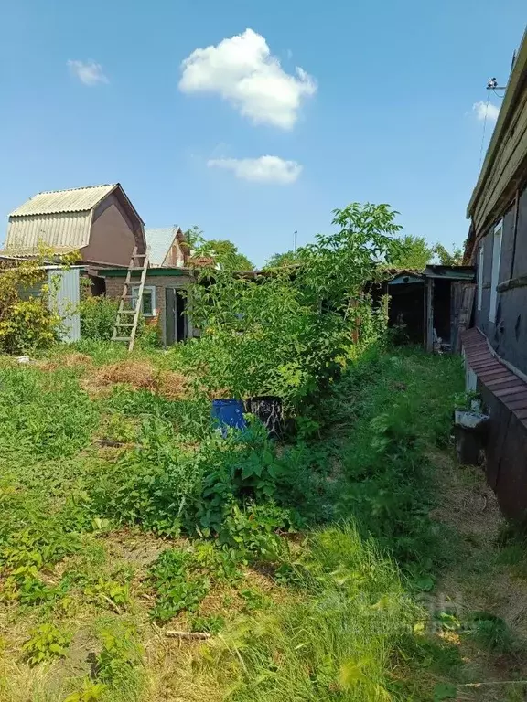 Дом в Омская область, Омск ул. 10-я Северная (53 м) - Фото 2