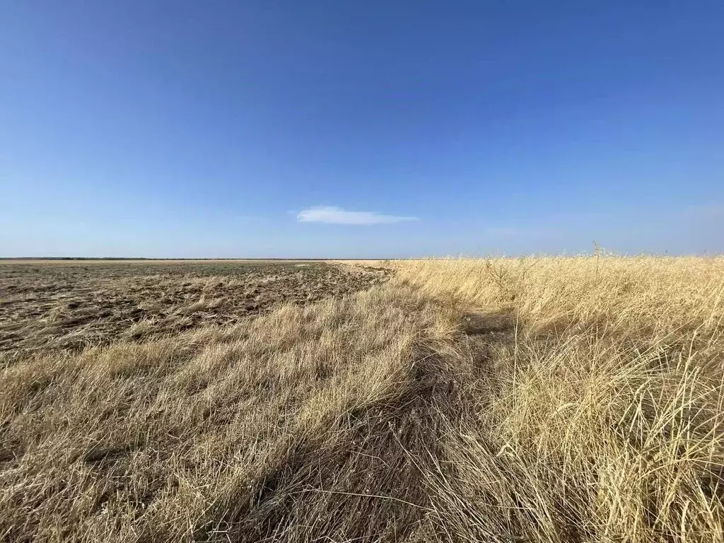 Участок в Крым, Кировский район, Абрикосовское с/пос, с. Кринички  ... - Фото 1