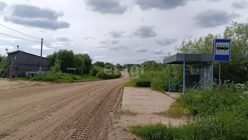 Участок в Архангельская область, Холмогорский муниципальный округ, д. ... - Фото 0