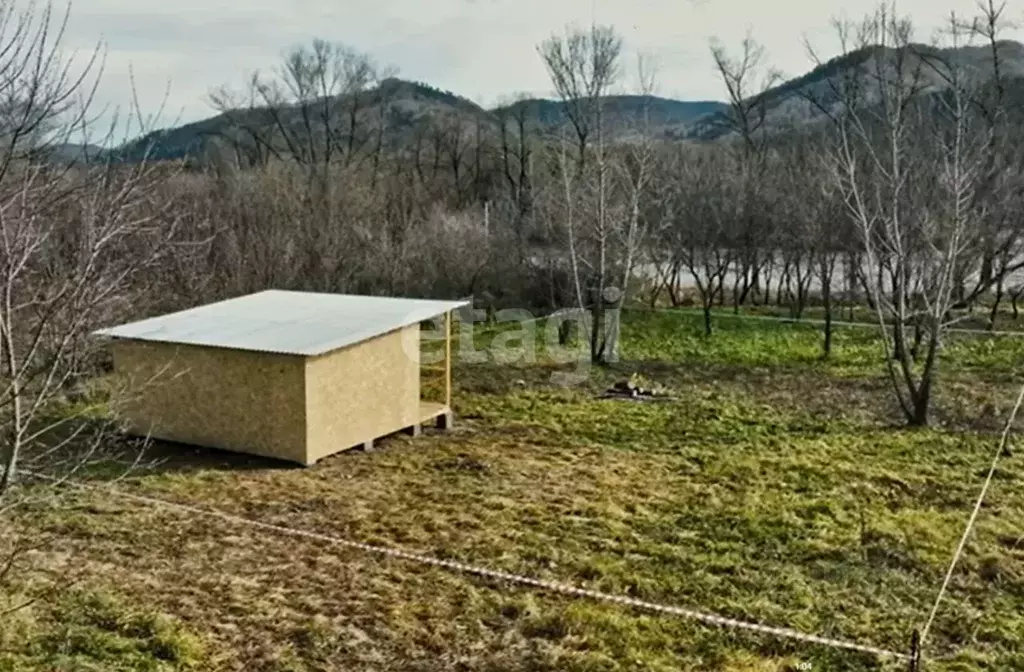 Участок в Алтайский край, Алтайский район, с. Нижнекаянча ул. ... - Фото 1