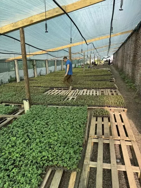 Помещение свободного назначения в Краснодарский край, Краснодар ул. ... - Фото 1