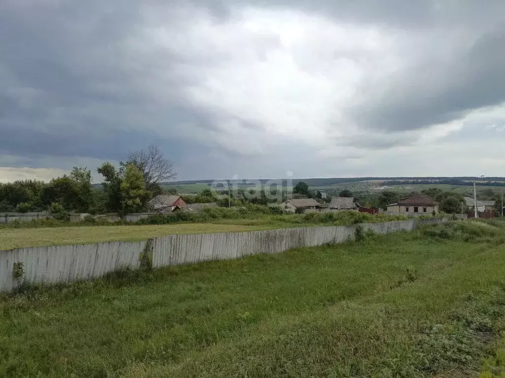 Участок в Белгородская область, Чернянский район, Русскохаланское ... - Фото 1