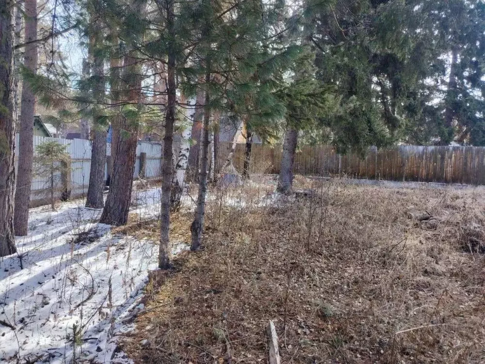 Участок в Иркутская область, Иркутский муниципальный округ, пос. ... - Фото 2