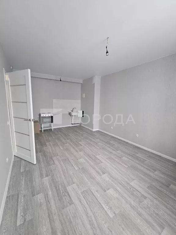 Студия Новосибирская область, Новосибирск Спортивная ул., 41 (26.4 м) - Фото 2