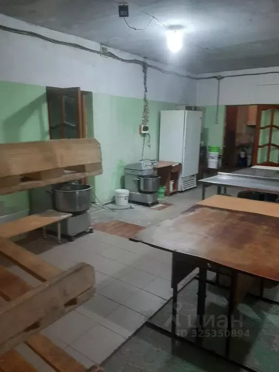 Помещение свободного назначения в Омская область, Омский район, с. ... - Фото 2