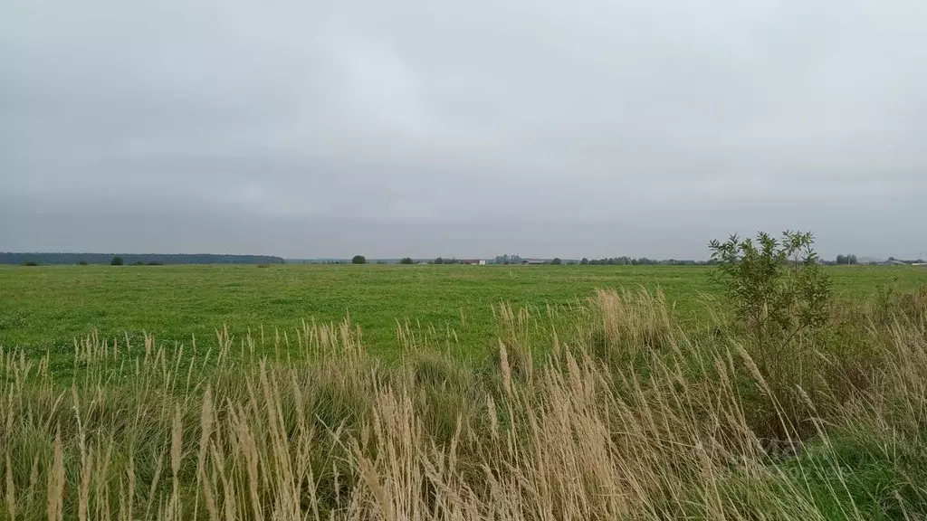 Участок в Ленинградская область, Ломоносовский район, Аннинское ... - Фото 1