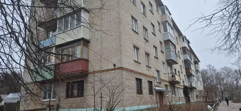 1-к кв. Московская область, Ногинск Богородский городской округ, ул. ... - Фото 1