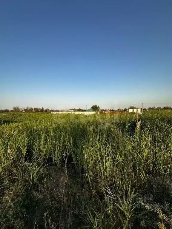 Участок в Ростовская область, Батайск  (5.1 сот.) - Фото 1