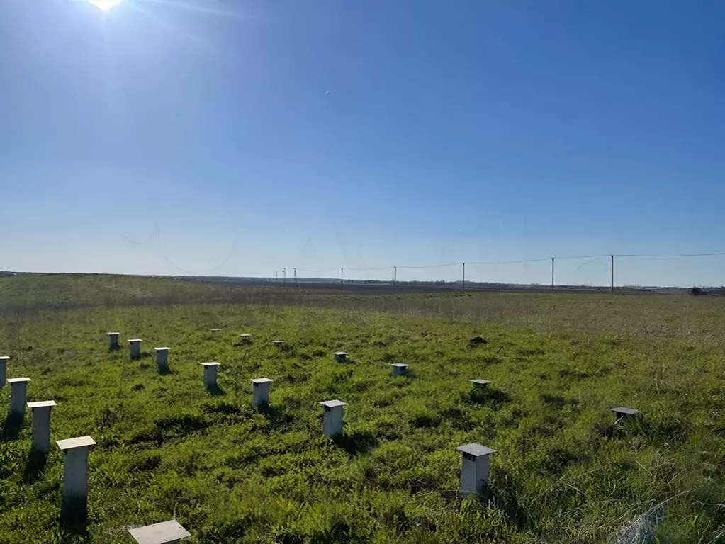 Участок в Ленинградская область, Ломоносовский район, Виллозское ... - Фото 0