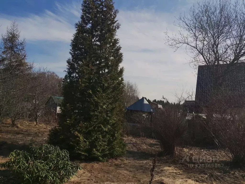 Участок в Московская область, Солнечногорск городской округ, Лотос ... - Фото 1