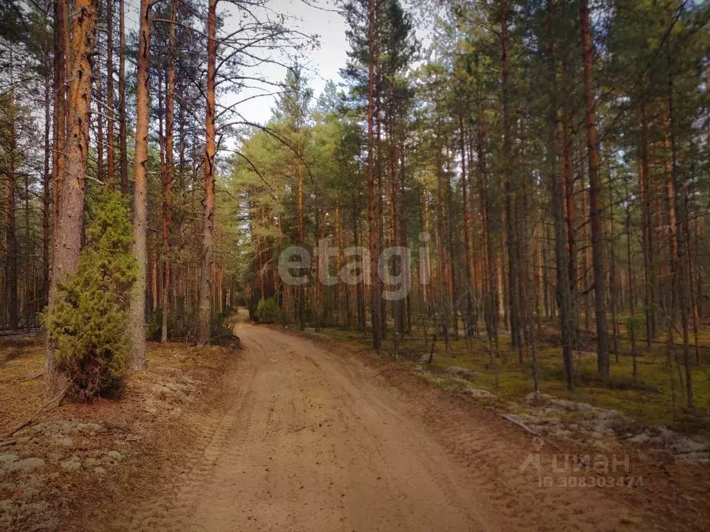 Участок в Вологодская область, Череповецкий район, Уломское с/пос  ... - Фото 1