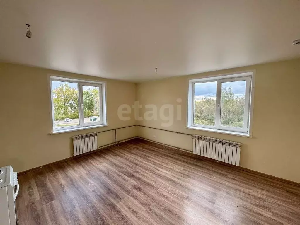 Студия Псковская область, Остров ул. Калинина, 82А (25.2 м) - Фото 1