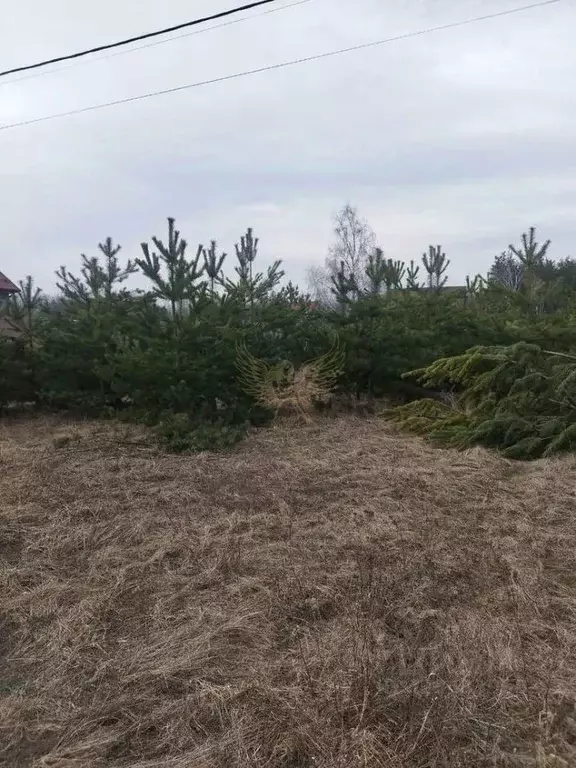Участок в Белгородская область, Старый Оскол Красная ул. (12.0 сот.) - Фото 2