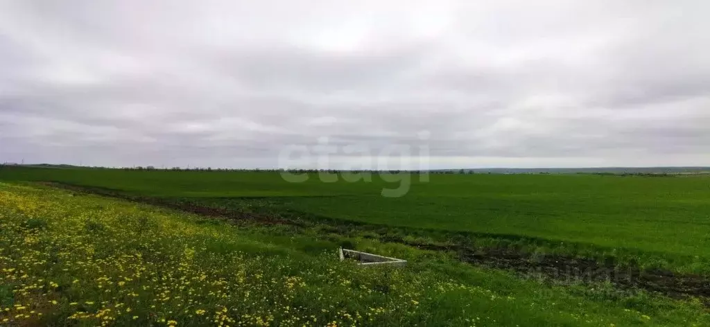 Участок в Крым, Ленинский район, Семисотское с/пос, с. Каменское ул. ... - Фото 1