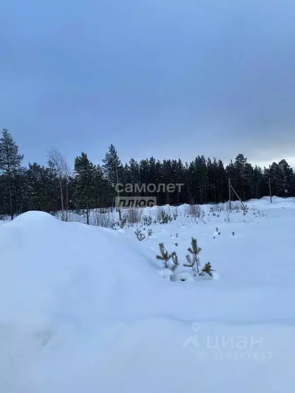 Участок в Ханты-Мансийский АО, Сургут Алтай ДНТ,  (6.0 сот.) - Фото 1