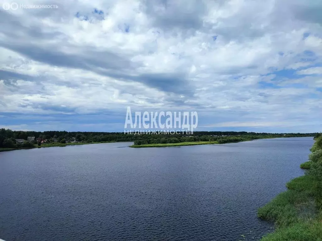 Дом в село Паша, улица Павла Нечесанова, 70 (64 м) - Фото 1