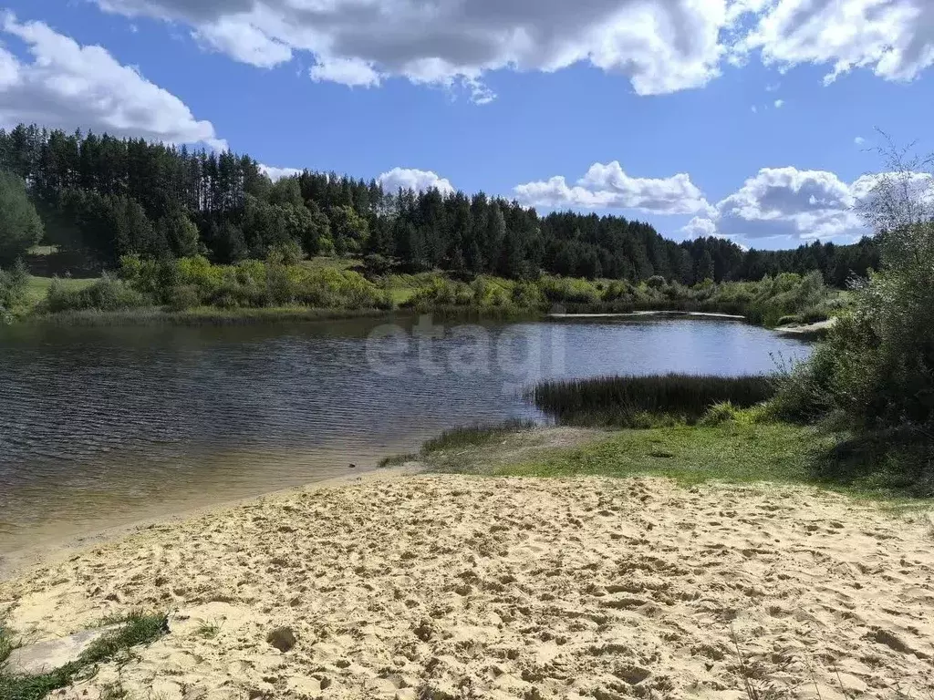 Дом в Ульяновская область, Сенгилеевский район, Силикатненское ... - Фото 1