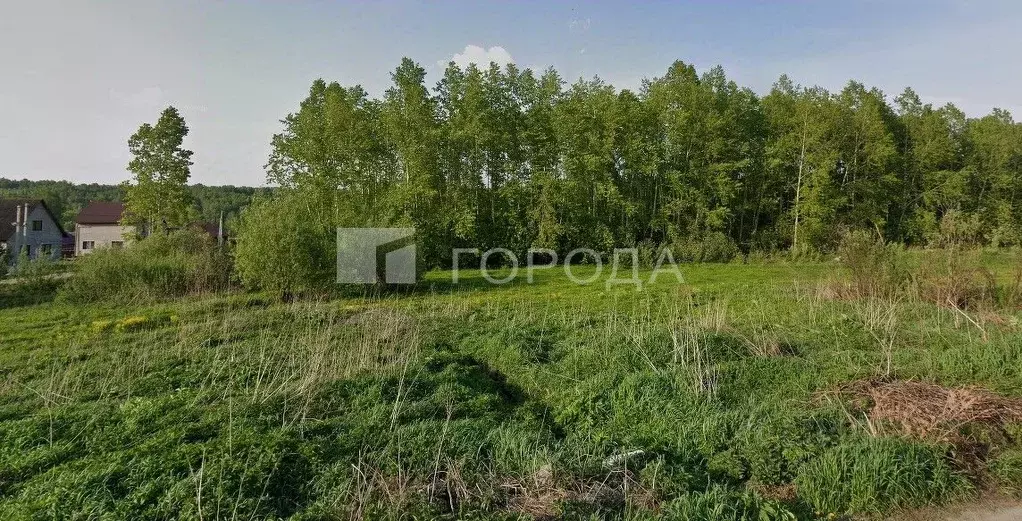 Участок в Новосибирская область, Новосибирск ул. Отдыха (8.05 сот.) - Фото 1