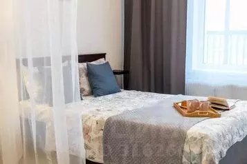 1-к кв. Санкт-Петербург дор. Торфяная, 15к3 (25.0 м) - Фото 0