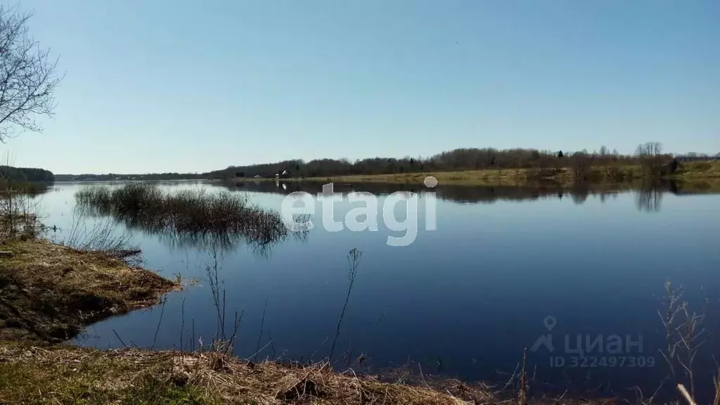 Участок в Вологодская область, Шекснинский муниципальный округ, д. ... - Фото 1