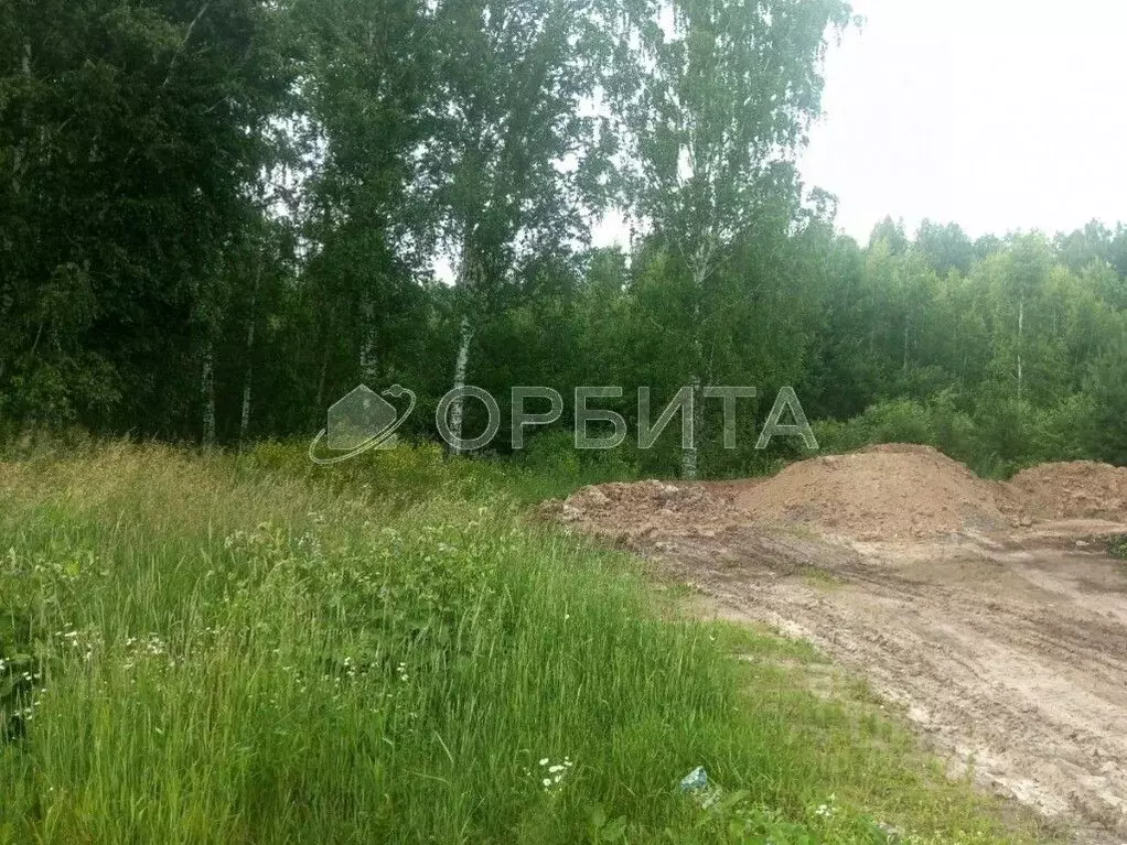 Участок в Тюменская область, Тюменский муниципальный округ, с. ... - Фото 1