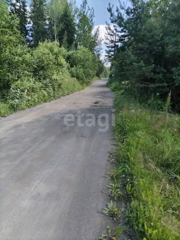 Участок в Карелия, Прионежский район, Деревянское с/пос, Онежец-4 СНТ  ... - Фото 0