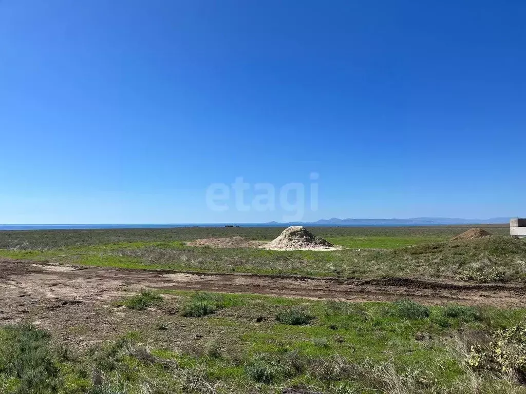 Участок в Крым, Ленинский район, с. Луговое ул. Луговская (793.9 сот.) - Фото 1