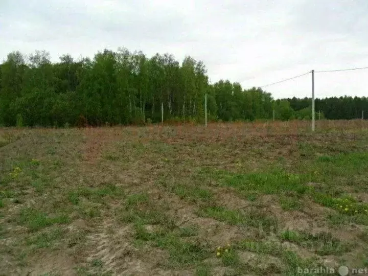 Участок в Ростовская область, Новочеркасск Ясная ул., 27/8 (13.0 сот.) - Фото 0