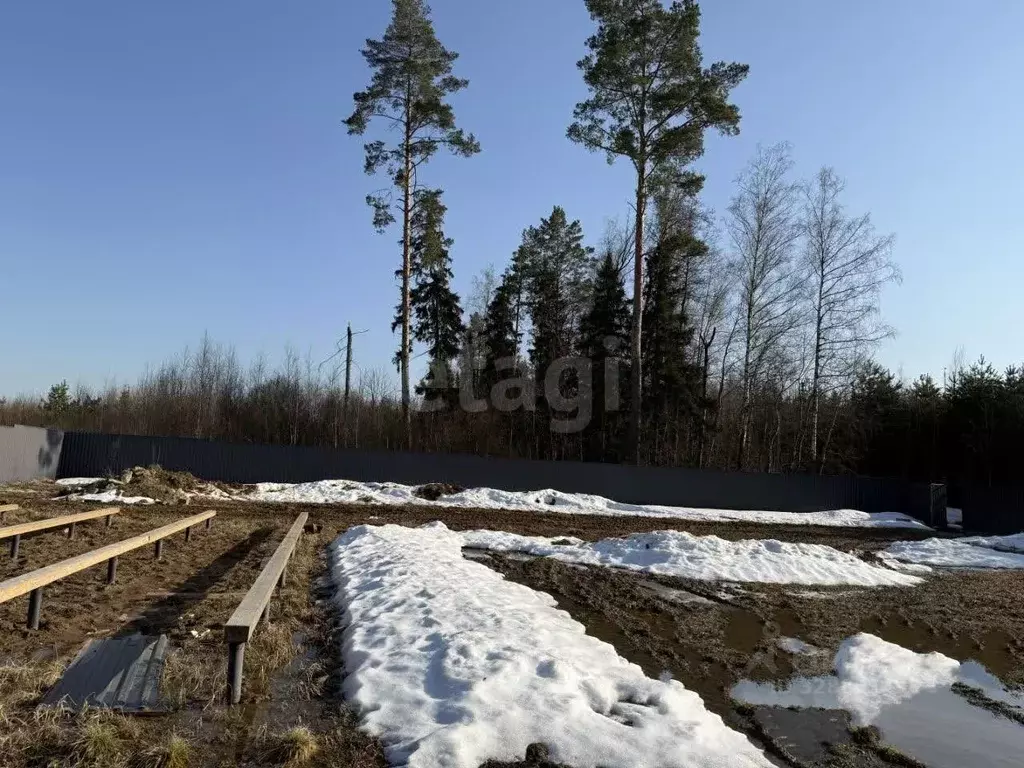 Участок в Московская область, Одинцовский городской округ, д. Митькино ... - Фото 2