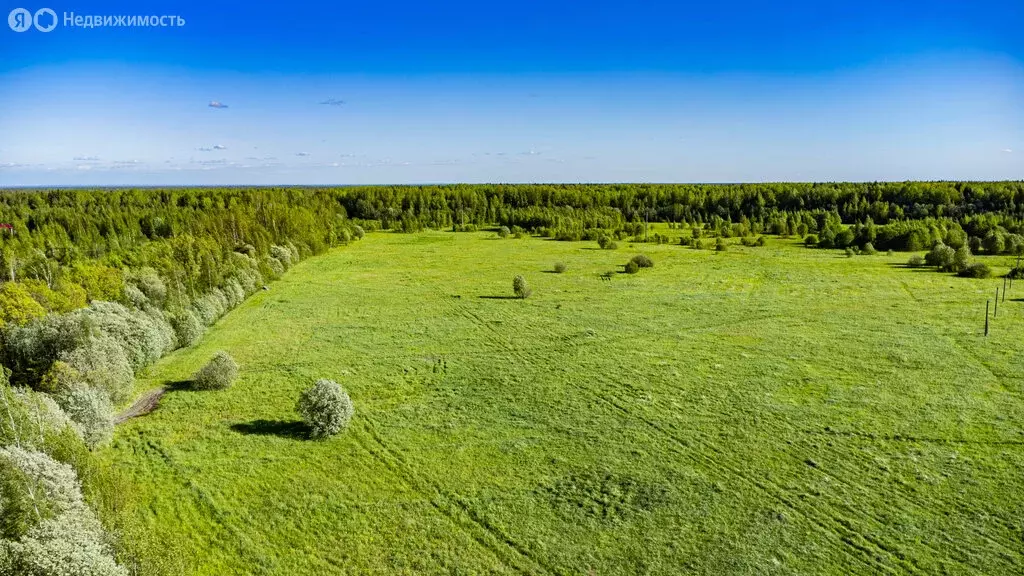 Участок в Рахьинское городское поселение, массив Ириновка (6 м) - Фото 1