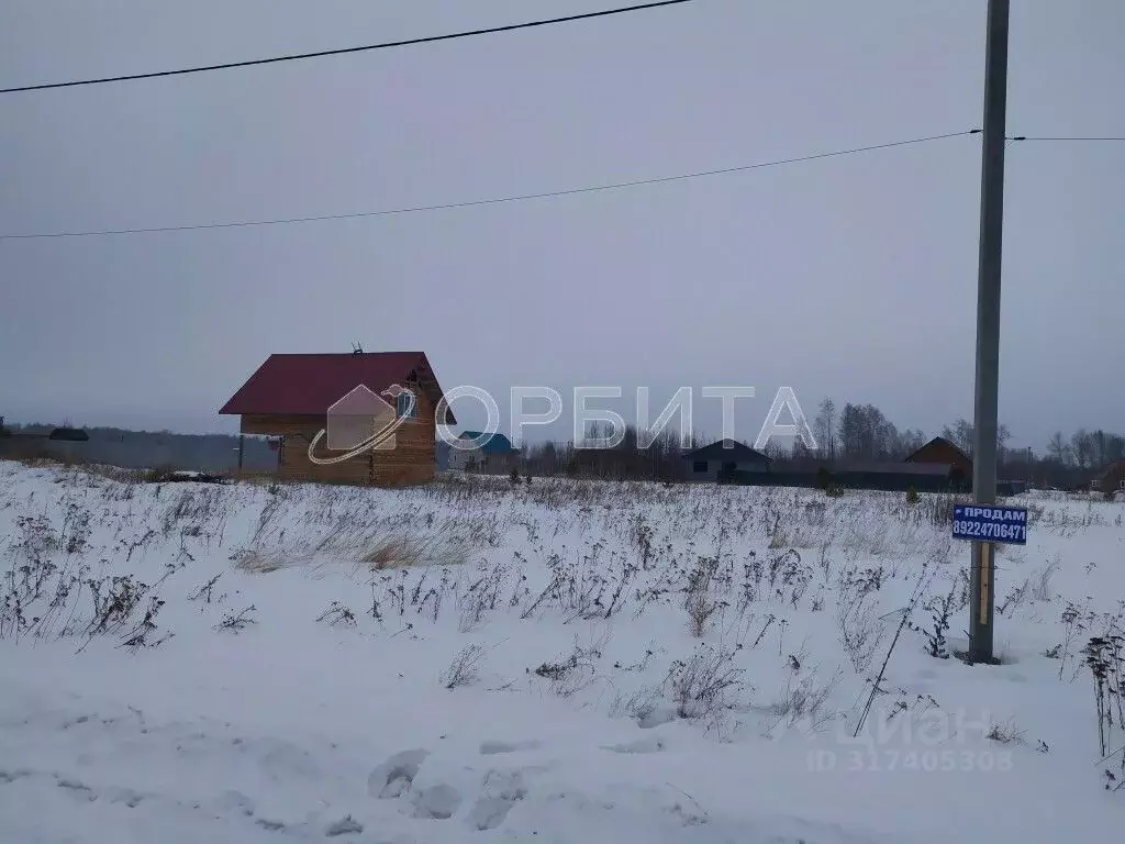 Участок в Тюменская область, Ялуторовский район, с. Киева ул. Юрия ... - Фото 1