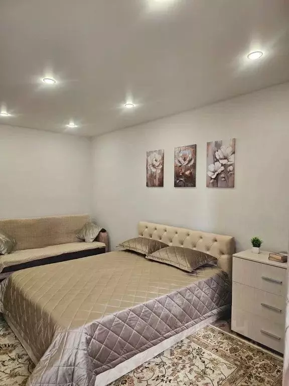 Студия Московская область, Ногинск Богородский городской округ, ул. ... - Фото 2