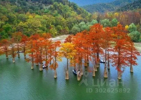 Участок в Краснодарский край, Анапа муниципальное образование, с. ... - Фото 1