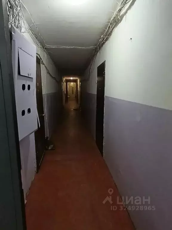 1-к кв. Алтайский край, Барнаул ул. Веры Кащеевой, 17/1 (30.0 м) - Фото 1