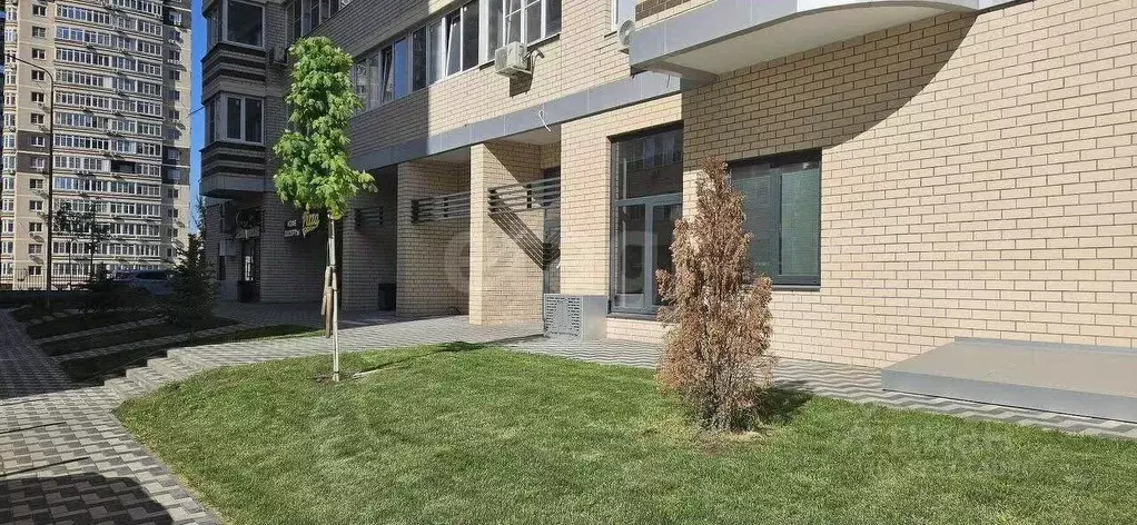 Помещение свободного назначения в Ростовская область, Ростов-на-Дону ... - Фото 1