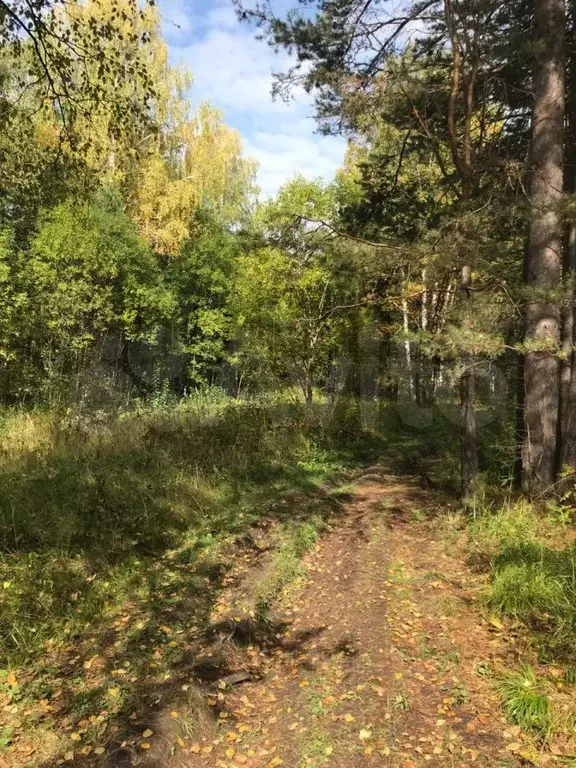 Участок 12,4 сот. (ИЖС) - Фото 0
