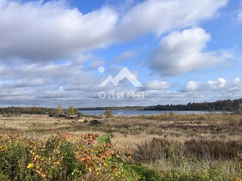 Участок в Вологодская область, Вашкинский муниципальный округ, д. ... - Фото 1