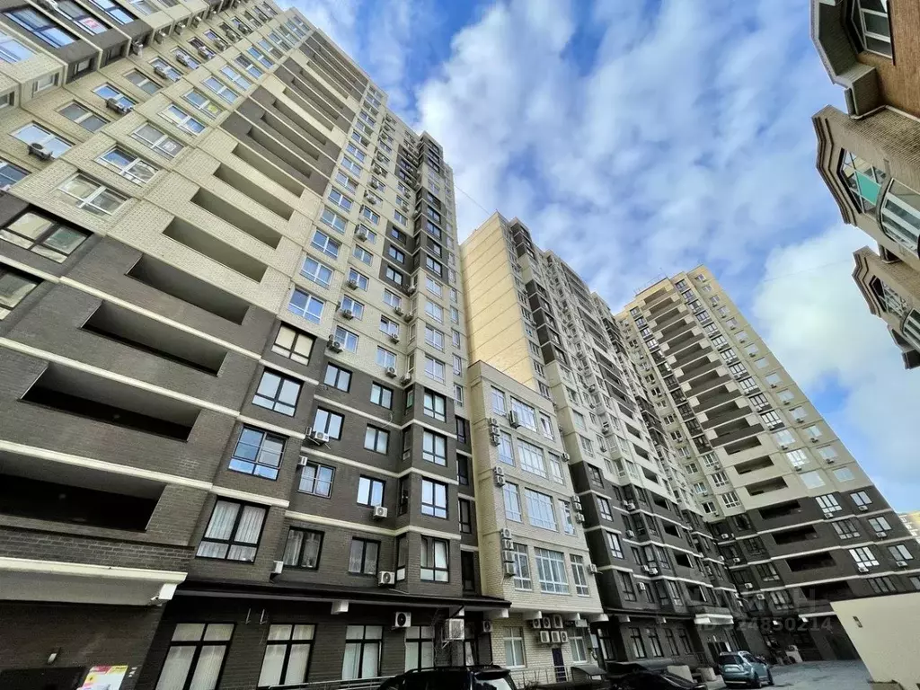 Студия Краснодарский край, Анапа ул. Ленина, 173Ак5 (31.7 м) - Фото 1