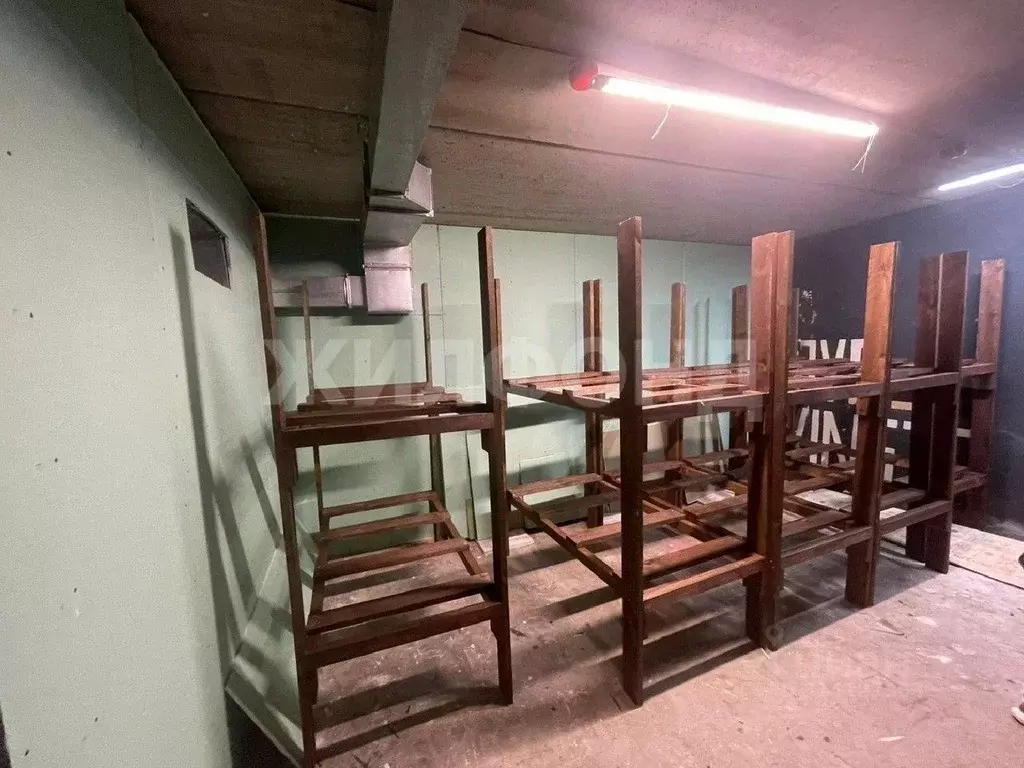 Помещение свободного назначения в Алтайский край, Барнаул Витебская ... - Фото 2