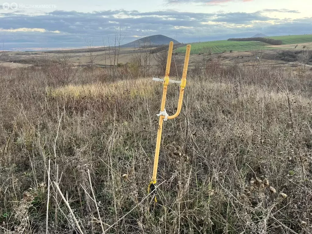 Участок в хутор Новая Пролетарка, Приозёрная улица, 11 (11 м) - Фото 0