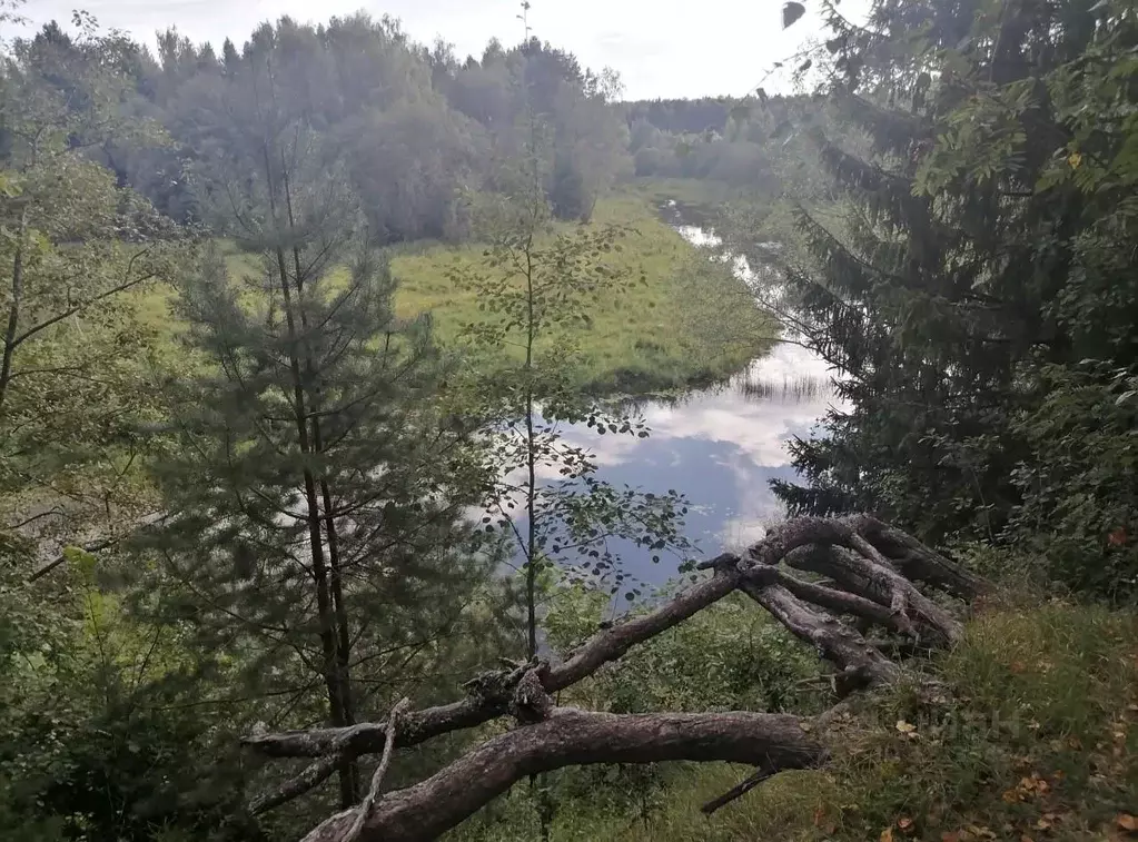 Участок в Ярославская область, Ярославский муниципальный округ, д. ... - Фото 2