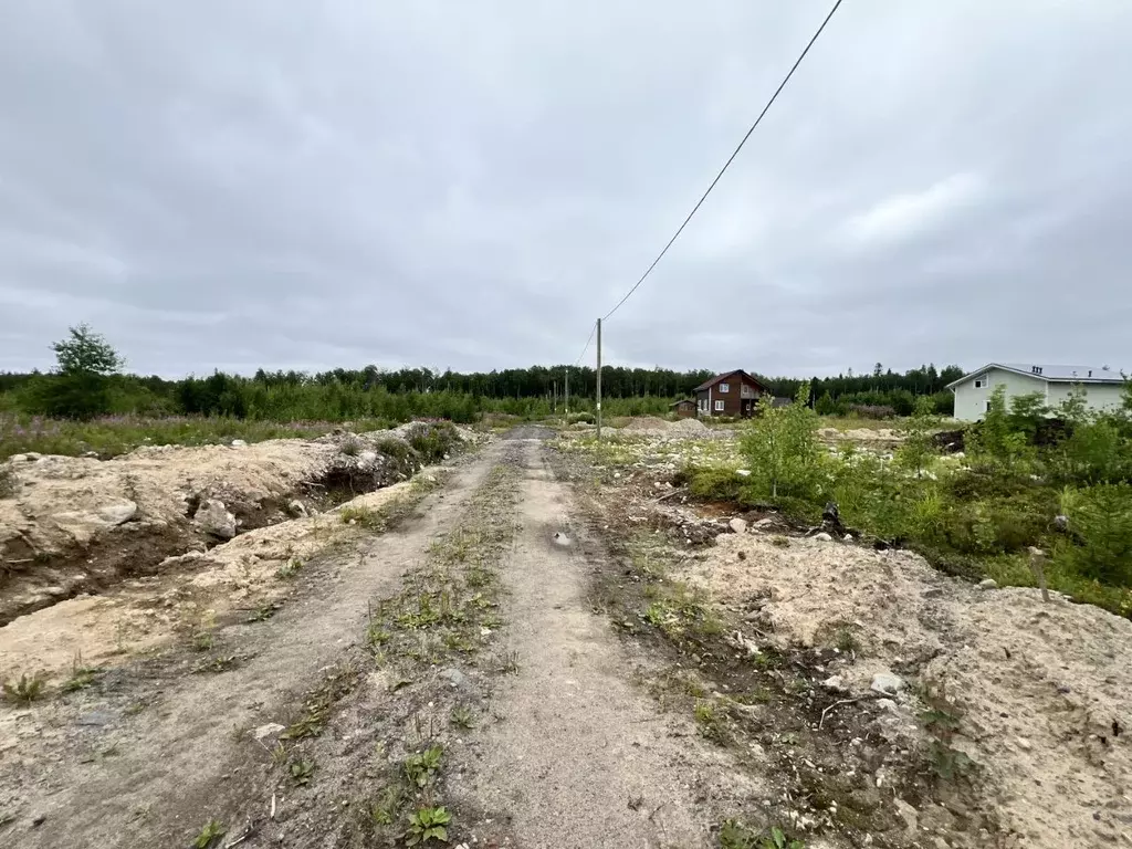 Участок в Карелия, Петрозаводск Древлянка-3 тер., Древлянка-11 мкр,  ... - Фото 0