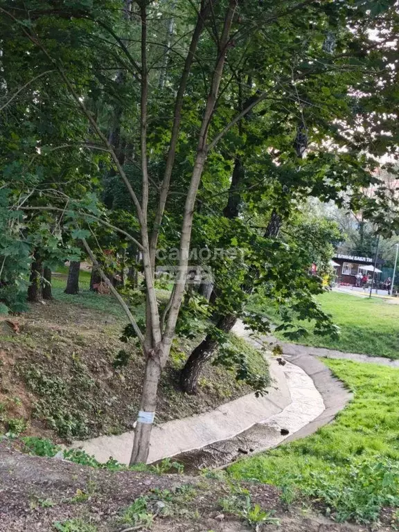 Квартира, 3 комнаты, 75 м - Фото 1