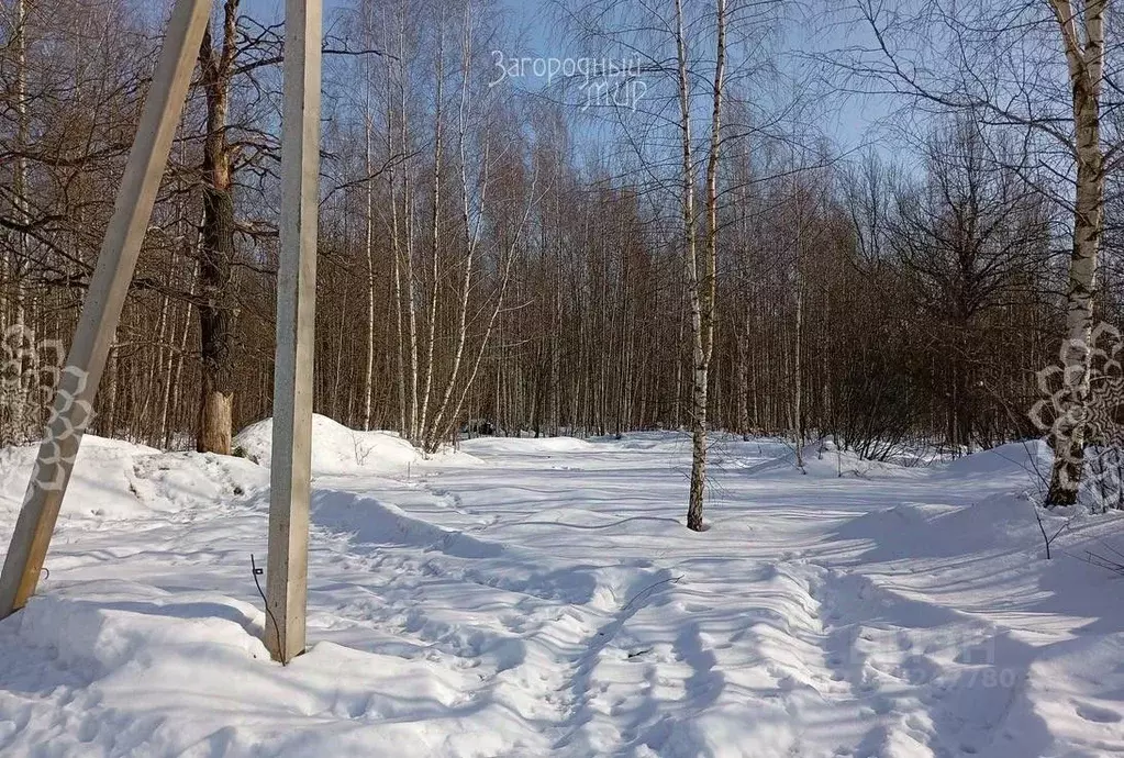 Участок в Московская область, Ногинск Богородский городской округ, ул. ... - Фото 2