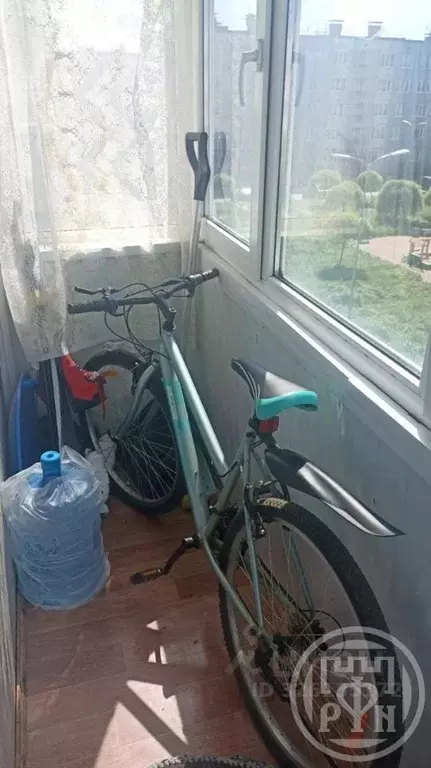 2-к кв. Ленинградская область, Волосовский район, Клопицкое с/пос, д. ... - Фото 2