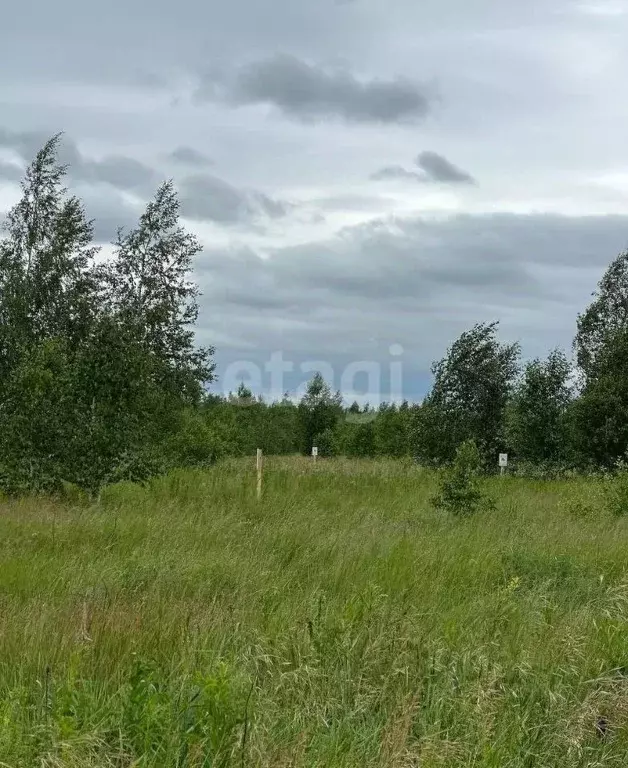 Участок в Челябинская область, Красноармейский муниципальный округ, ... - Фото 1