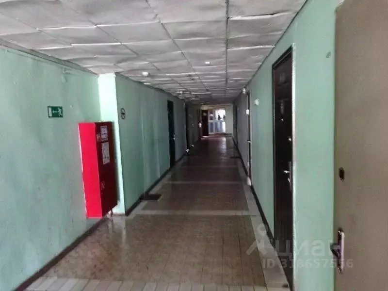 Помещение свободного назначения в Москва ул. Маршала Прошлякова, 20с3 ... - Фото 0