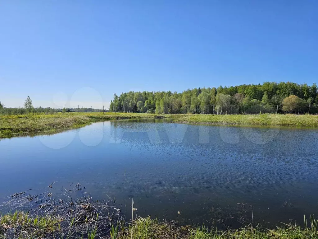 Участок 7,9 сот. (СНТ, ДНП) - Фото 1