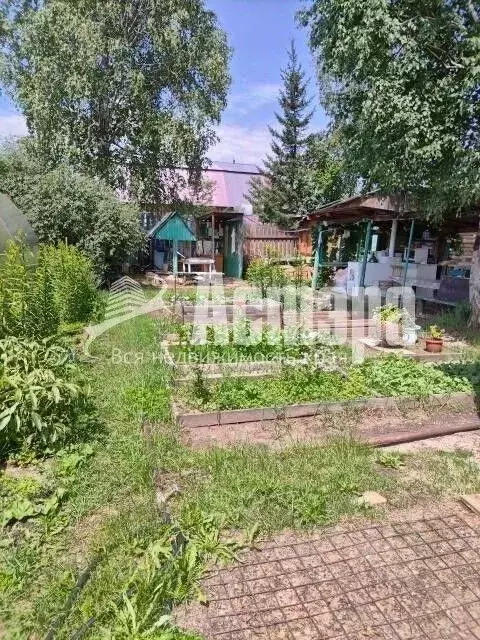 Участок в Забайкальский край, Чита № 29 Лесная Поляна ДНТ, 1 (10.0 ... - Фото 1