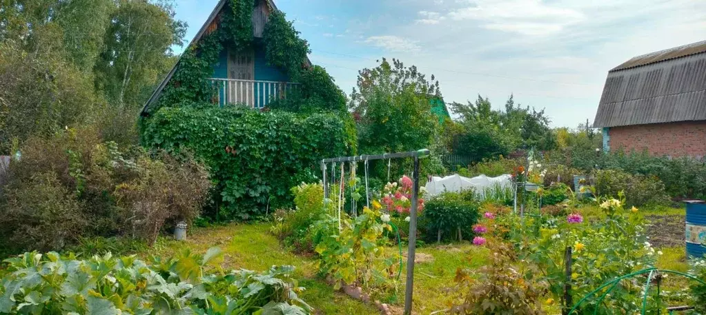 Дом в Омская область, Омск СОСН Шинник-3 тер., аллея 1-я (40 м) - Фото 1